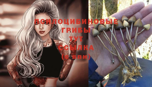 синтетический гашиш Горнозаводск