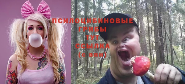 скорость Горно-Алтайск