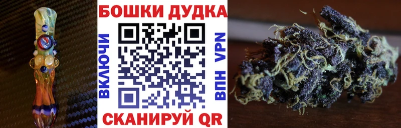 Каннабис сатива  Невинномысск 